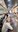 6.jpeg